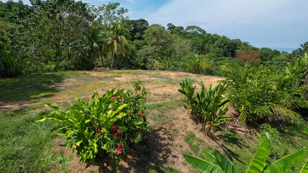 Lot Las Brisas, Uvita,