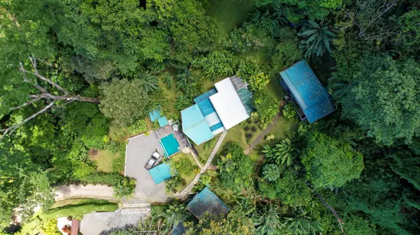 Finca La Perla, Ballena,
