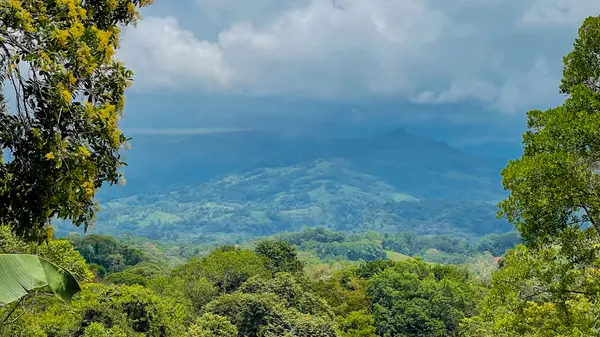 Lot Dos Vistas, Platanillo, 