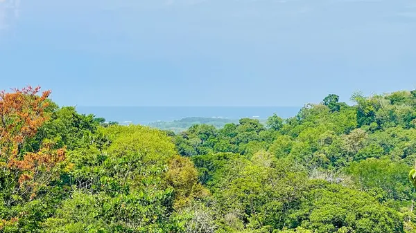 Lot Las Brisas, Uvita, 