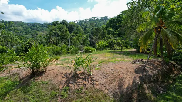 Lot Las Brisas, Uvita,