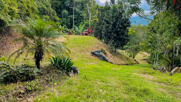 Lot Dos Vistas, Platanillo,