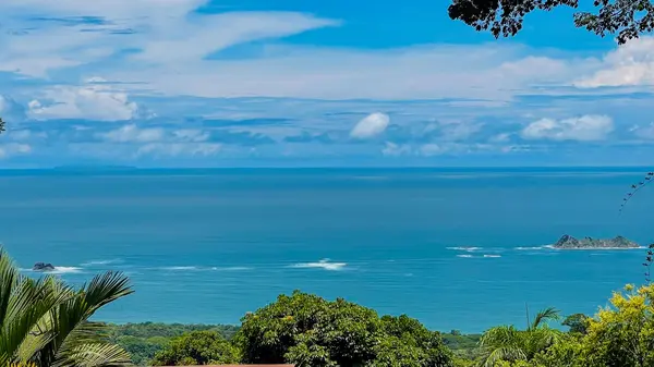 Finca La Perla, Ballena,