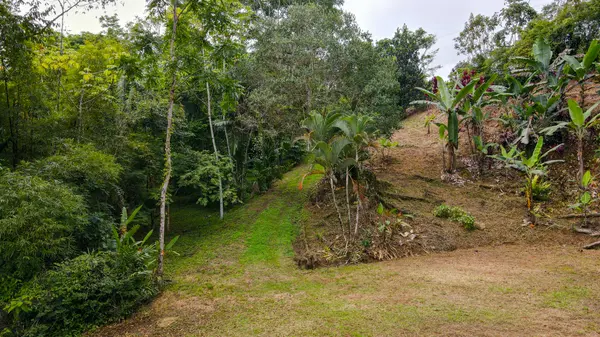 Lot Dos Vistas, Platanillo,