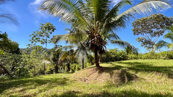 Tres Ríos Creekside Lots
