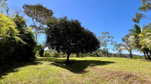 Tres Ríos Creekside Lots,