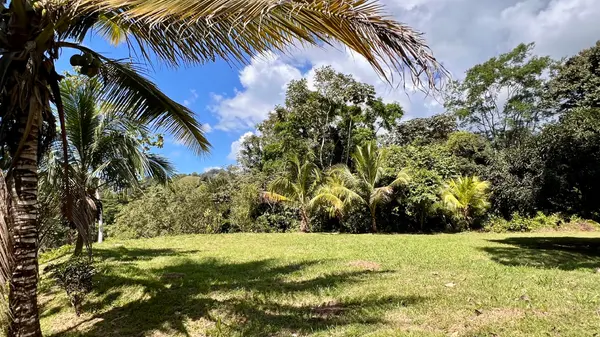 Tres Ríos Creekside Lots