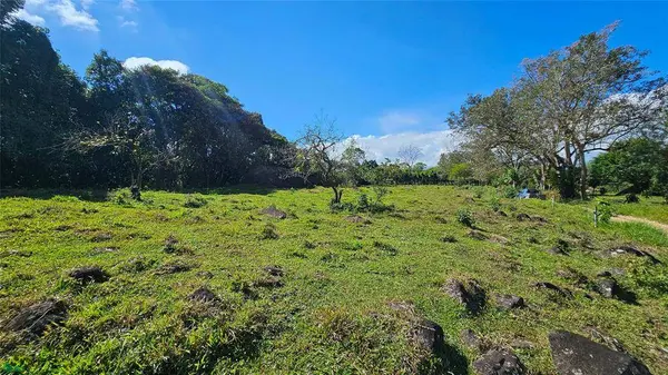 Playa Verde Permaculture Lot, 11902