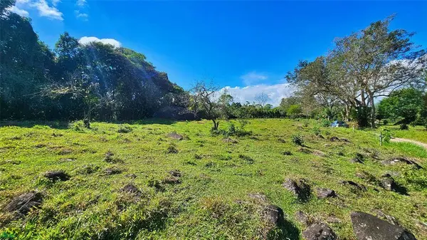 Playa Verde Permaculture Lot, 11902