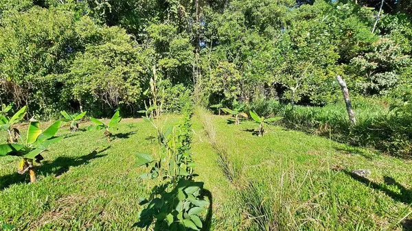 Playa Verde Creekside Lot, 11902