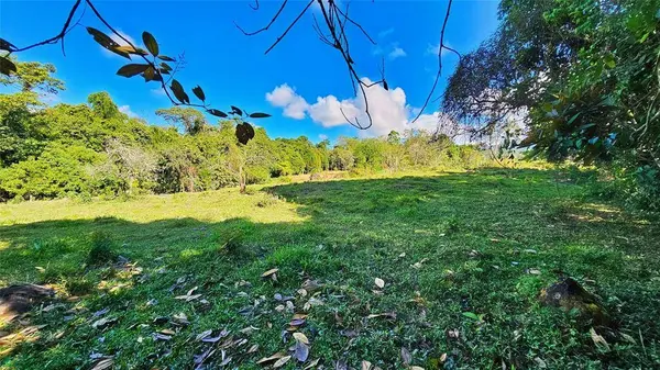 Playa Verde Permaculture Lot, 11902