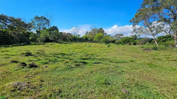 Playa Verde Permaculture Corner Lot, 11902