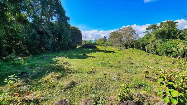 Playa Verde Permaculture Lot, 11902