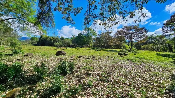 Playa Verde Permaculture Corner Lot, 11902