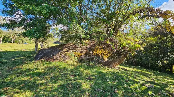 Playa Verde Permaculture Corner Lot, 11902