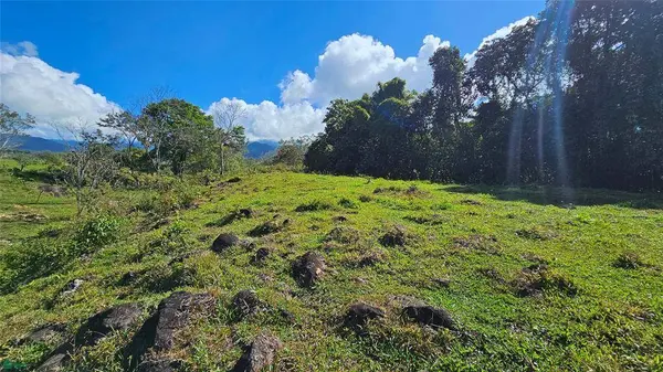 Playa Verde Permaculture Lot, 11902