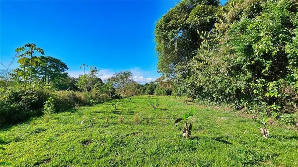 Playa Verde Creekside Lot, 11902