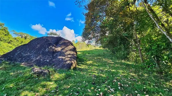 Playa Verde Permaculture Lot, 11902