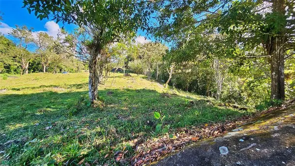 Playa Verde Permaculture Corner Lot, 11902