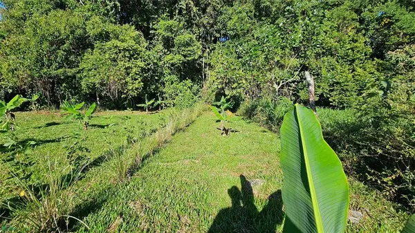 Playa Verde Creekside Lot, 11902