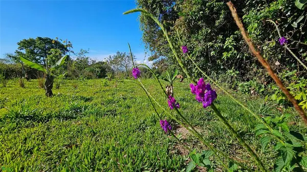 Playa Verde Creekside Lot, 11902