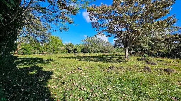 Playa Verde Permaculture Corner Lot, 11902