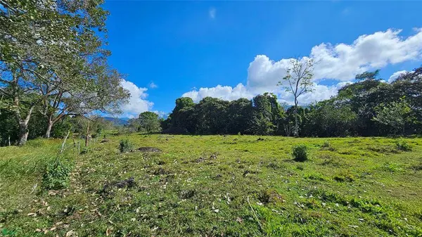 Playa Verde Permaculture Corner Lot, 11902