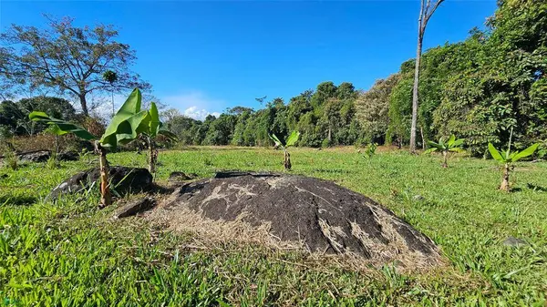 Playa Verde Creekside Lot, 11902