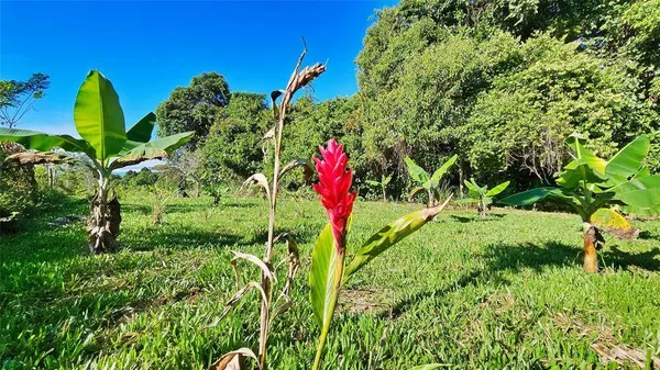 Playa Verde Creekside Lot, 11902