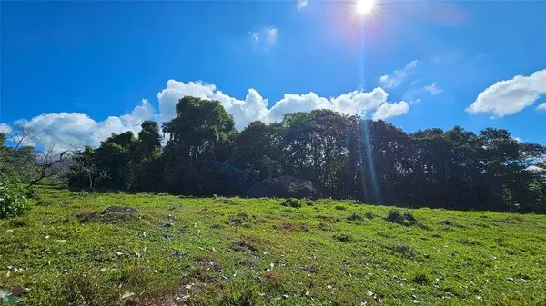 Playa Verde Permaculture Lot, 11902