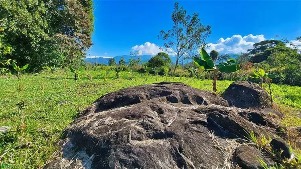 Playa Verde Creekside Lot, 11902