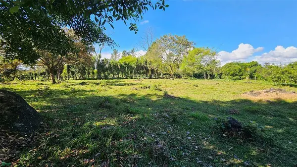 Playa Verde Permaculture Corner Lot, 11902