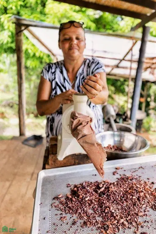 Exclusive Cacao Farm & Luxury Retreat, Parrita, 60901