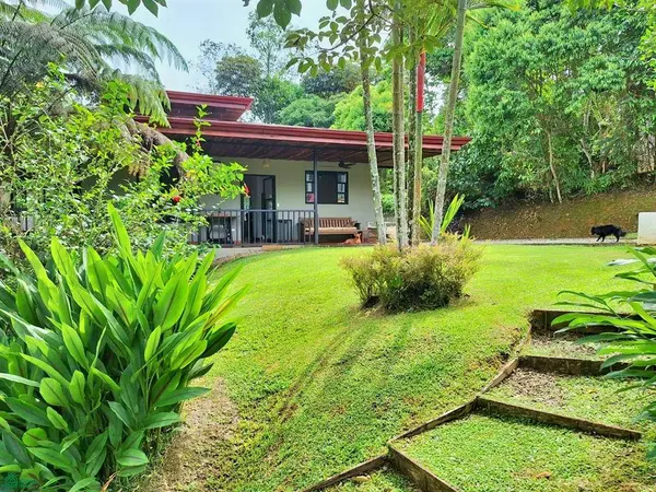 Tropical Bird Watcher’s Paradise, 11901