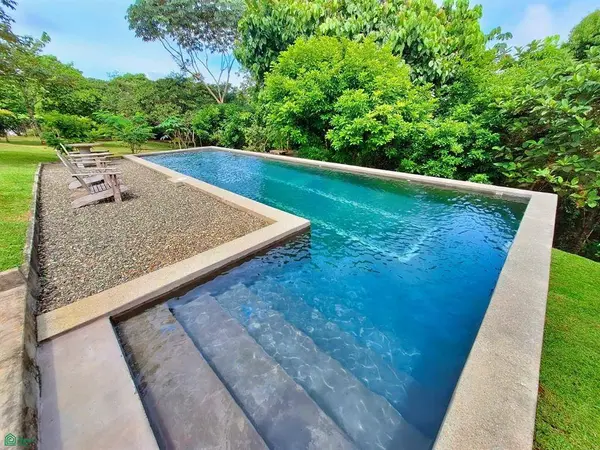 Tropical Bird Watcher’s Paradise, 11901