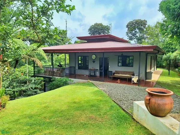 Tropical Bird Watcher’s Paradise, 11901