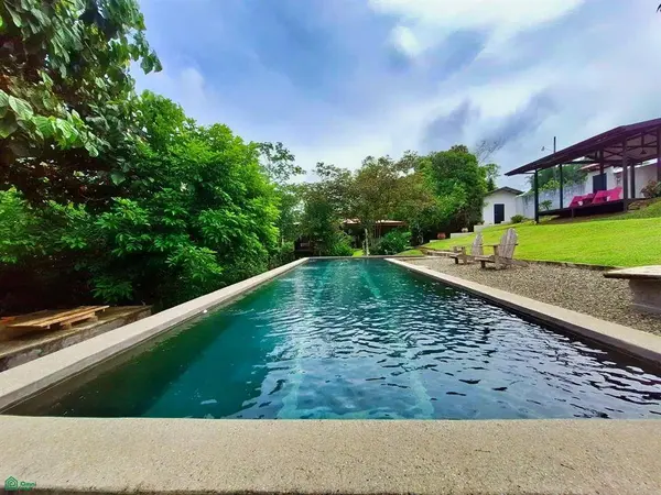 Tropical Bird Watcher’s Paradise, 11901