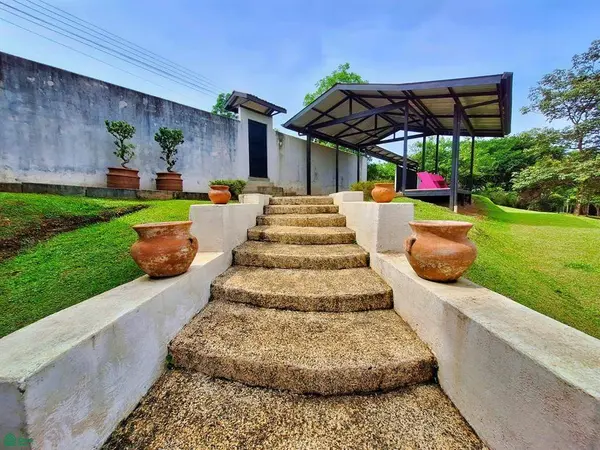 Tropical Bird Watcher’s Paradise, 11901