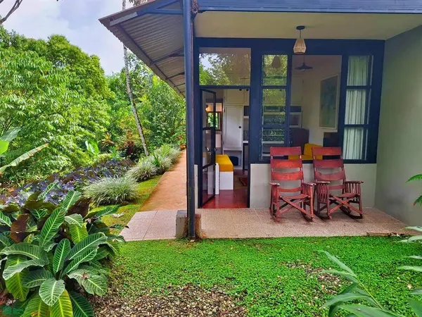 Tropical Bird Watcher’s Paradise, 11901