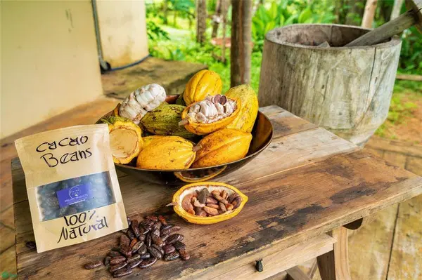 Exclusive Cacao Farm & Luxury Retreat, Parrita, 60901