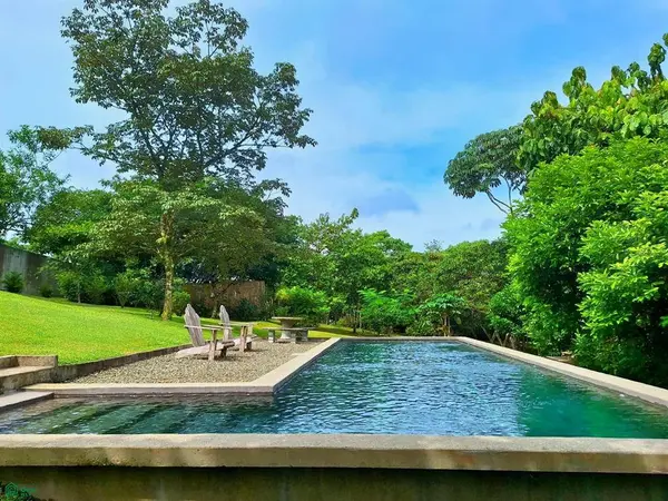 Tropical Bird Watcher’s Paradise, 11901