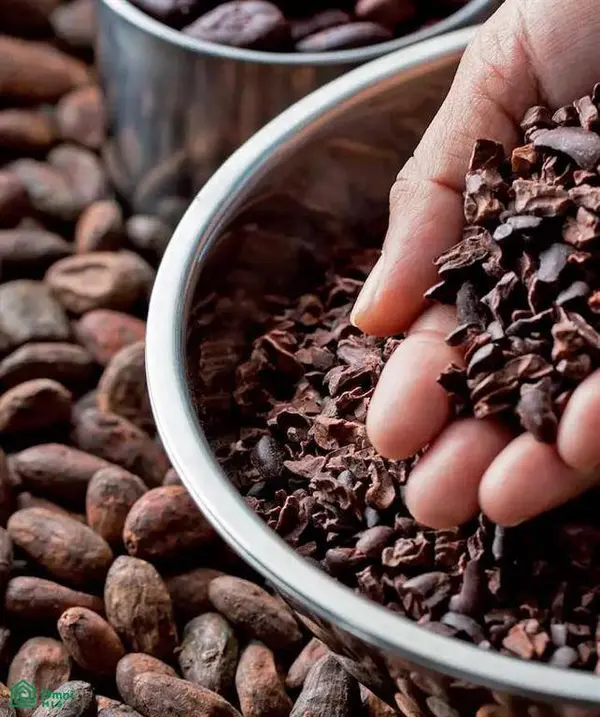 Exclusive Cacao Farm & Luxury Retreat, Parrita, 60901