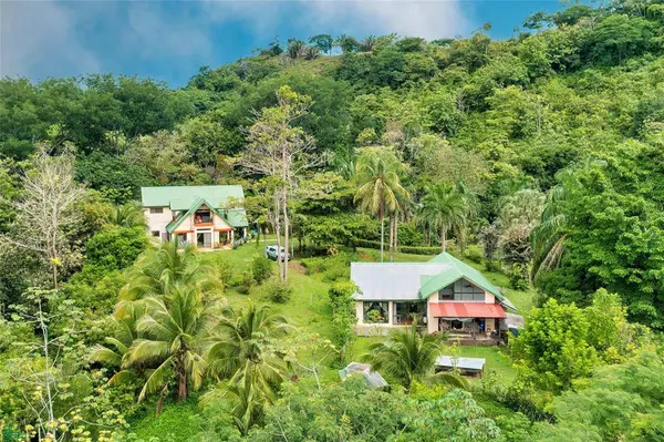 Exclusive Cacao Farm & Luxury Retreat, Parrita, 60901