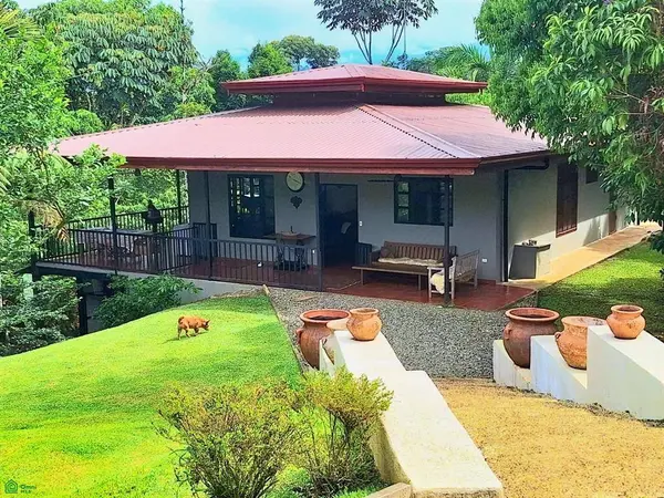 Tropical Bird Watcher’s Paradise, 11901