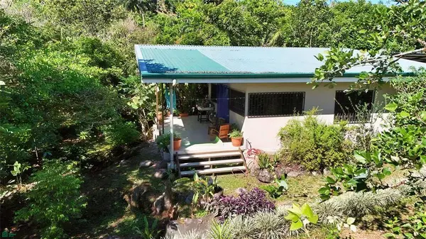 Finca Tropical Food Forest, 11908