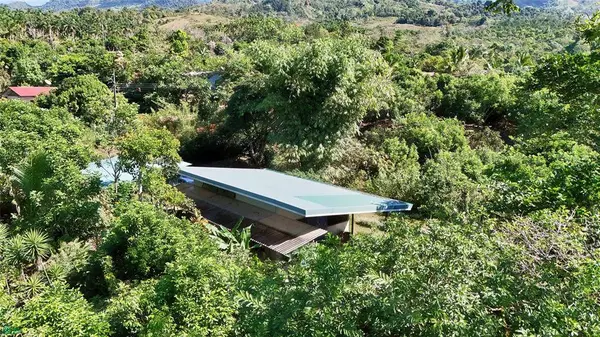 Finca Tropical Food Forest, 11908