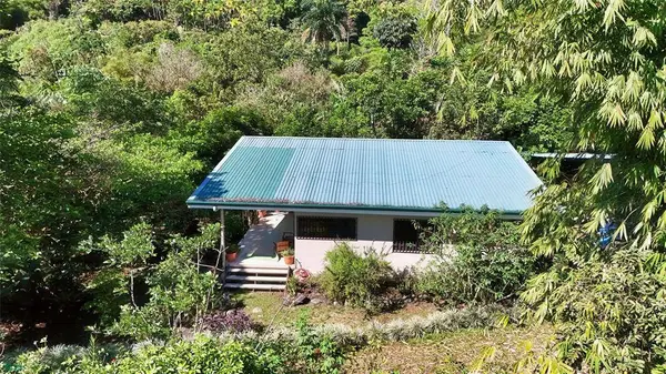 Finca Tropical Food Forest, 11908