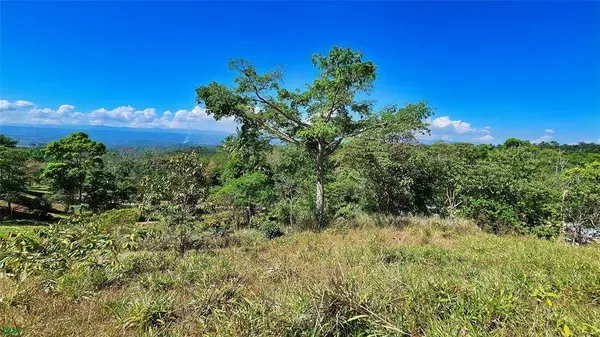 Sunset Valley Finca Tambor, 11908