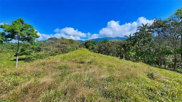 Sunset Valley Finca Tambor, 11908
