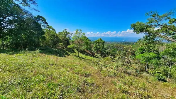 Sunset Valley Finca Tambor, 11908